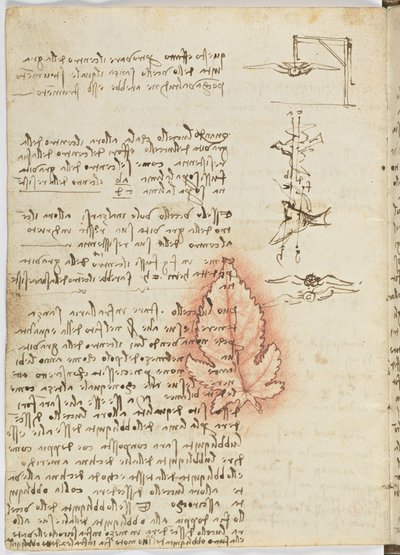 Vogelvluchtcode, c. 1505-06, blad 15 verso door Leonardo da Vinci